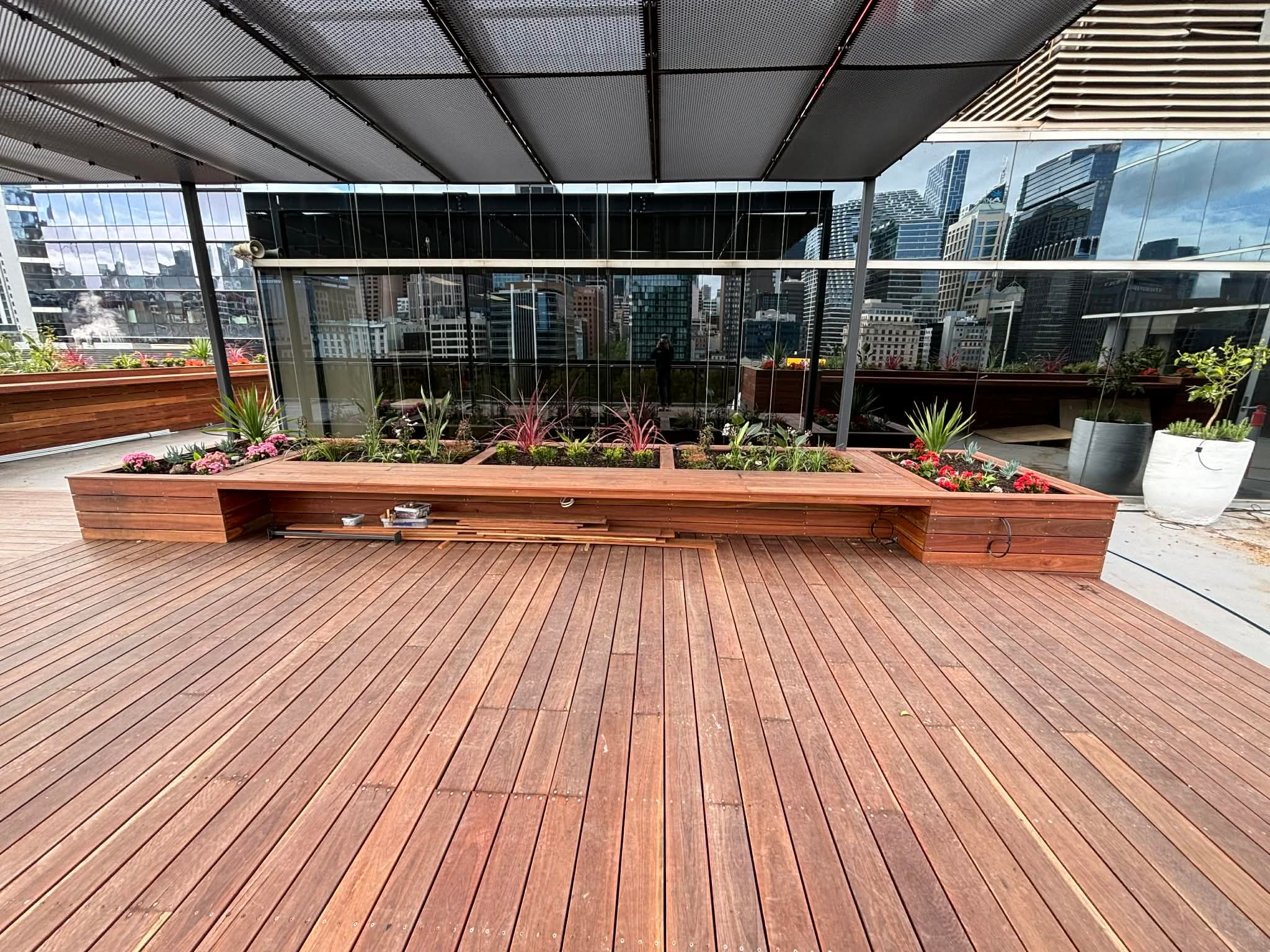 Spotted Gum